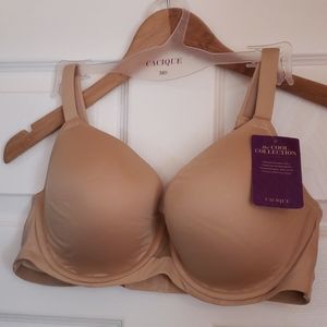 Cacique bra (new)